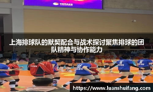 上海排球队的默契配合与战术探讨聚焦排球的团队精神与协作能力
